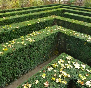 Labyrinth Schönbrunn Wien (c) Andreas Schelling